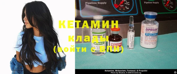 прущие грибы Гусиноозёрск