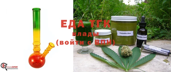 прущие грибы Гусиноозёрск