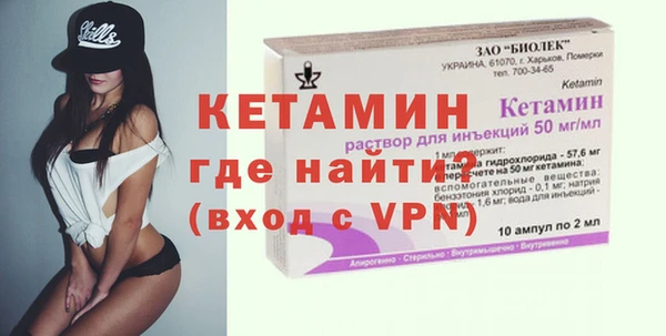 прущие грибы Гусиноозёрск