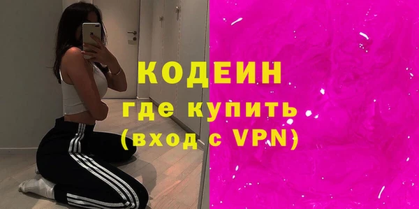 ГАЛЛЮЦИНОГЕННЫЕ ГРИБЫ Гусев