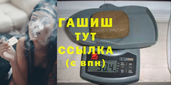 прущие грибы Гусиноозёрск