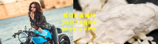 ГАЛЛЮЦИНОГЕННЫЕ ГРИБЫ Гусев