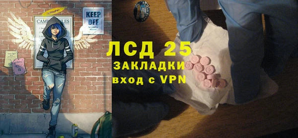 ГАЛЛЮЦИНОГЕННЫЕ ГРИБЫ Гусев