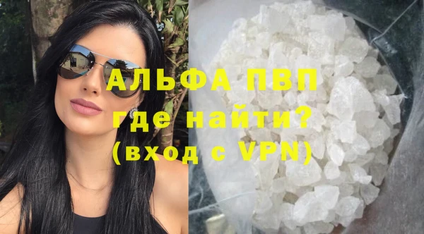 ГАЛЛЮЦИНОГЕННЫЕ ГРИБЫ Гусев