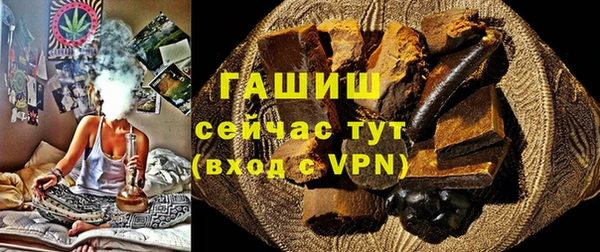 прущие грибы Гусиноозёрск