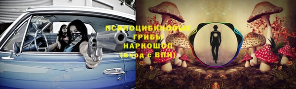 ГАЛЛЮЦИНОГЕННЫЕ ГРИБЫ Гусев