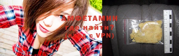 ГАЛЛЮЦИНОГЕННЫЕ ГРИБЫ Гусев
