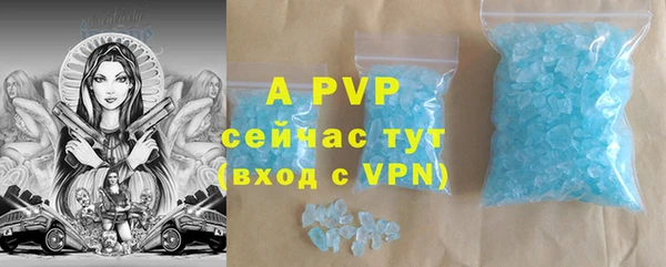 ГАЛЛЮЦИНОГЕННЫЕ ГРИБЫ Гусев