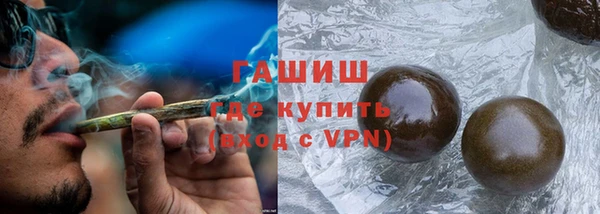 прущие грибы Гусиноозёрск