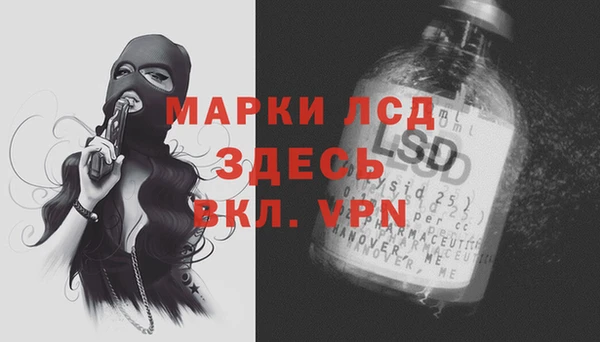 ГАЛЛЮЦИНОГЕННЫЕ ГРИБЫ Гусев