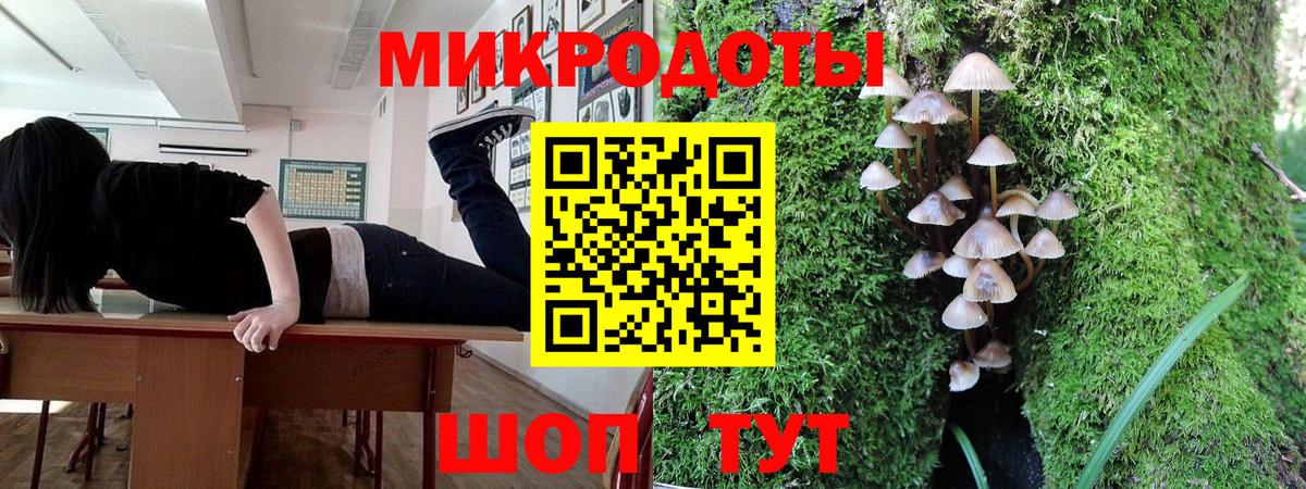 Галлюциногенные грибы мицелий Новокузнецк