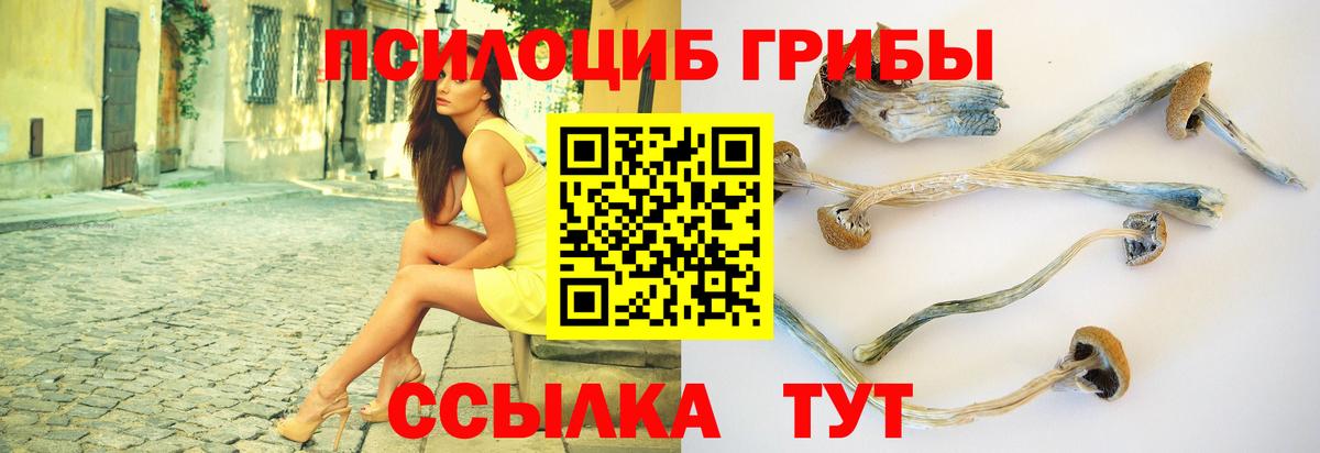 Псилоцибиновые грибы Cubensis  Вход с VPN  Новокузнецк 